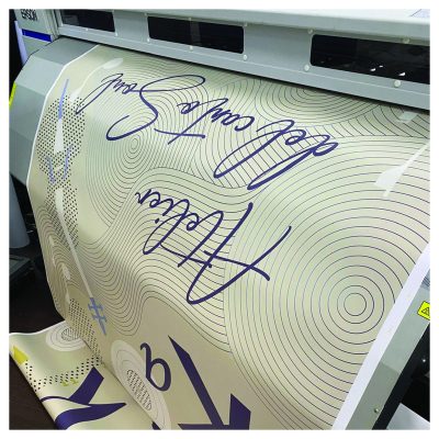 stampa plotter epson